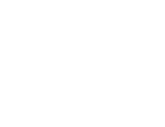 Logo_valsrl_bianco